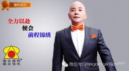 杨安催眠_全力以赴便会前程锦绣